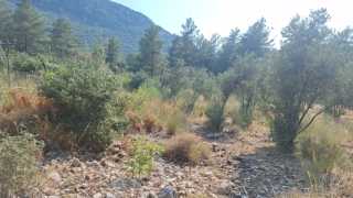 Fethiye ovacık Satılık Tarla
