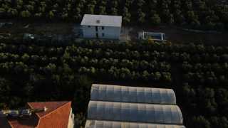 fethiye esenköyde satılık yatırım fırsatı verimli tarla