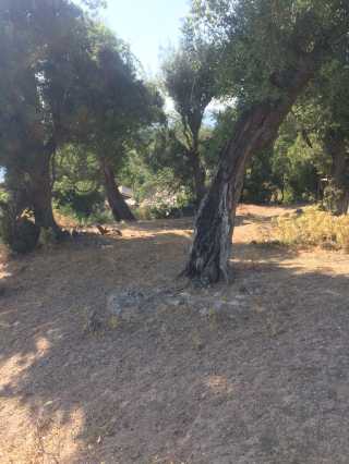 fethiye yakacık mah. 882m2 TARLA