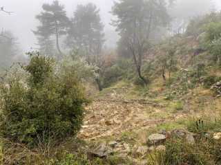 fethiye yakacık 1071m2 TARLA