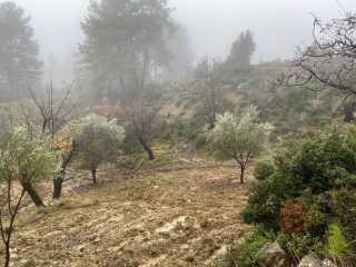 fethiye yakacık 1071m2 TARLA