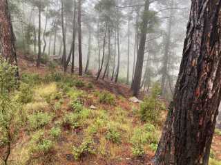 fethiye yakacık 1071m2 TARLA