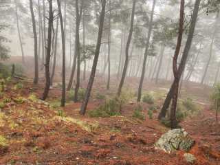 fethiye yakacık 1071m2 TARLA