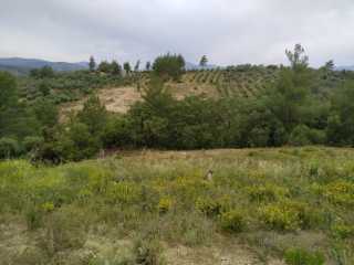seydikemer atlıderede TARLA