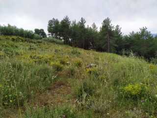seydikemer atlıderede TARLA