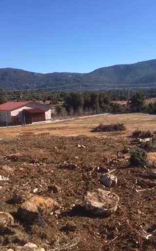 “Seydikemer Yayla Ceylan’da 1.103,05 Dönüm Tarla Satılık”