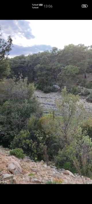 ANTALYA KAŞTA 2.596,26M2 SATILIK TARLA