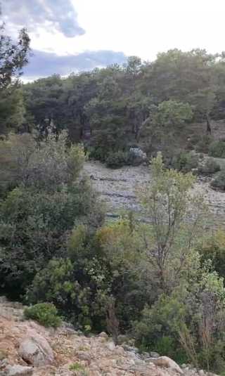 ANTALYA KAŞTA 2.596,26M2 SATILIK TARLA
