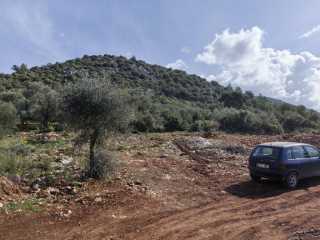 FETHİYE PATLANGIÇTA 491,16 M2TARLA