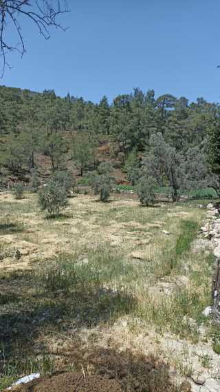 Fethiye Yakacık ta Yatırıma Uygun 517 m² Tarla Sizi Bekliyor Fethiye lider homes