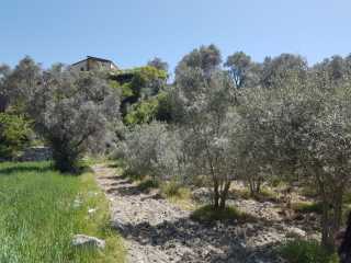 Fethiye Yakacık ta Yatırıma Uygun 517 m² Tarla Sizi Bekliyor Fethiye lider homes