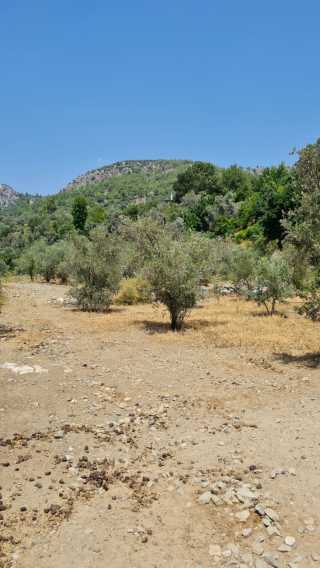 Fethiye Yakacık ta Yatırıma Uygun 517 m² Tarla Sizi Bekliyor Fethiye lider homes