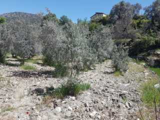 Fethiye Yakacık ta Yatırıma Uygun 517 m² Tarla Sizi Bekliyor Fethiye lider homes