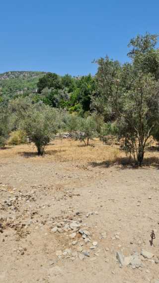 Fethiye Yakacık ta Yatırıma Uygun 517 m² Tarla Sizi Bekliyor Fethiye lider homes