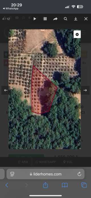 TARLA 650 M2 ‘Sİ HİSSELİ TAPULU 900 M2 Sİ MÜSTAKİL 2 B DİR 2B ‘NİN KULLANICI TAPUSU ŞU AN ASKIDADIR İCİNDE 100 ADET 6 YAŞINDA ZEYTİN AĞACI VARDIR.ETRAFINDA ÇAM AĞAÇLARI VARDIR YOLU MEVCUTTUR ALICISINA HAYIRLI OLSUN Muğla Satılık Tarla İlanlarıSeydikemer Satılık Tarla İlanları