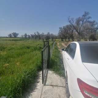 Seydikemer Girmeler 810M ZEYTİNLİK TARLA