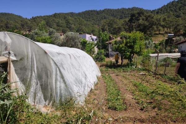 Muğla Dalyan Tepearası Satılık Tarla