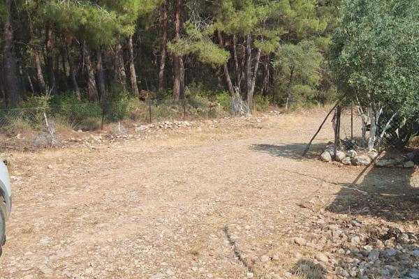 Fethiye ovacık Satılık Tarla