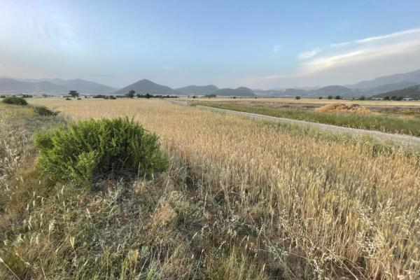 Muğla seydikemer ceylan Satılık Arsa