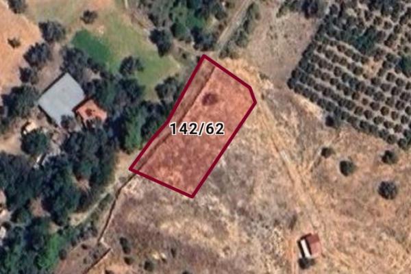 seydikemer kayadibinde 1,659,88m2 satılık zeytinlik