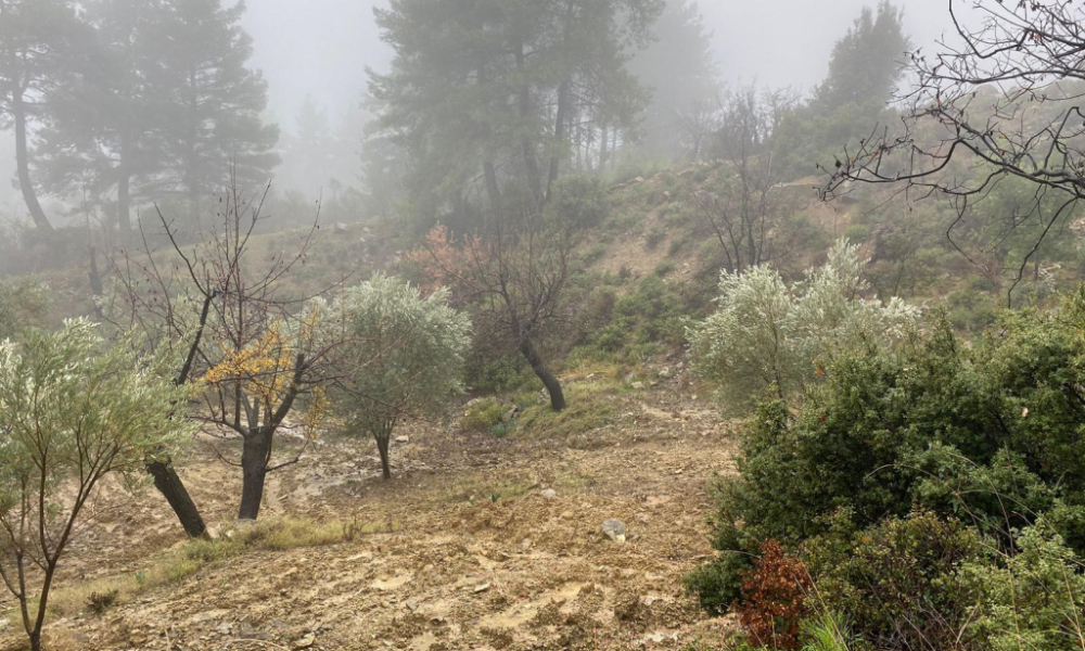 fethiye yakacık 1071m2 TARLA
