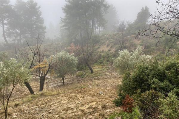fethiye yakacık 1071m2 TARLA