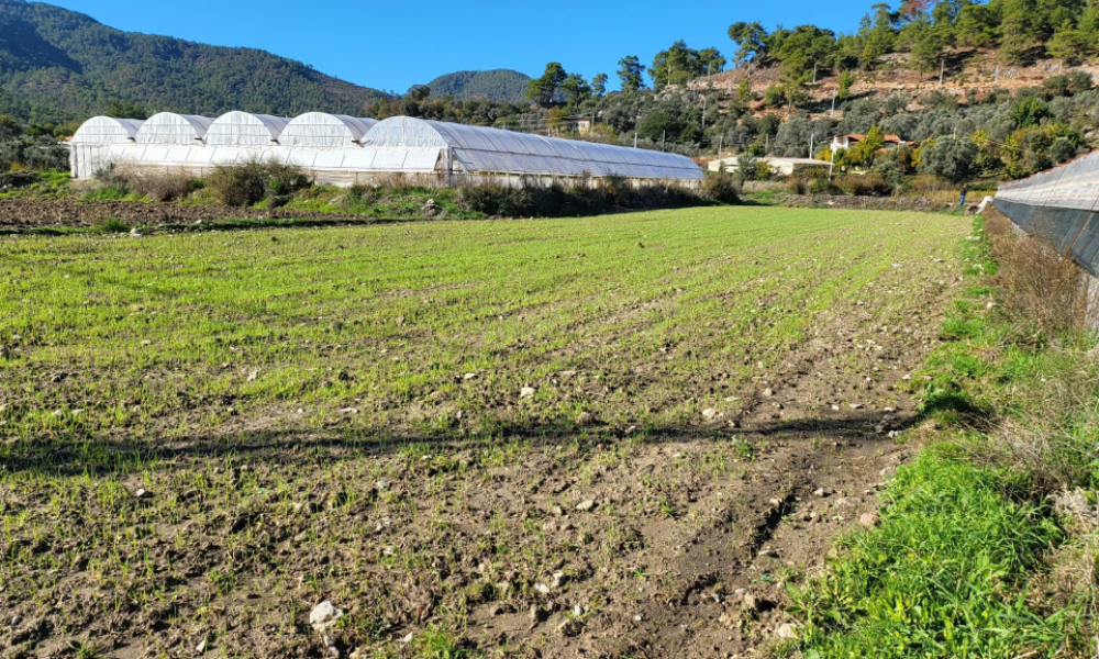 fethiye yakacıkta 1.432,60m2 TARLA