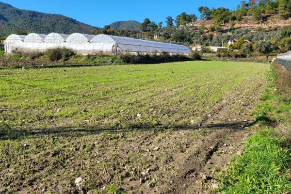 fethiye yakacıkta 1.432,60m2 TARLA