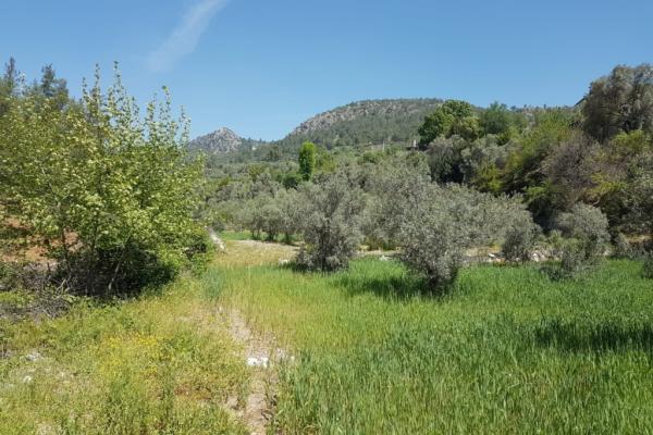Fethiye Yakacık ta Yatırıma Uygun 517 m² Tarla Sizi Bekliyor Fethiye lider homes