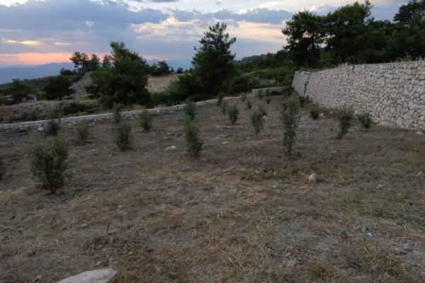 SEYDİKEMER YAKA MAHALLESİNDE TAŞ DUVARLA ÇEVRİLİ SATILIK 1777 m² ARAZİ