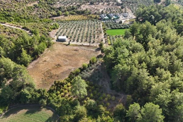 Muğla Seydikemer’de Yatırımlık Tarla – 796 m²