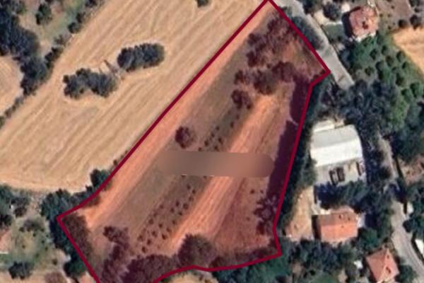 Seydikemer Hacıosmanlar Mahallesi’nde yer ala Zeytinlik tarla rızayi taksimiyapılmış 1.500m satlık
