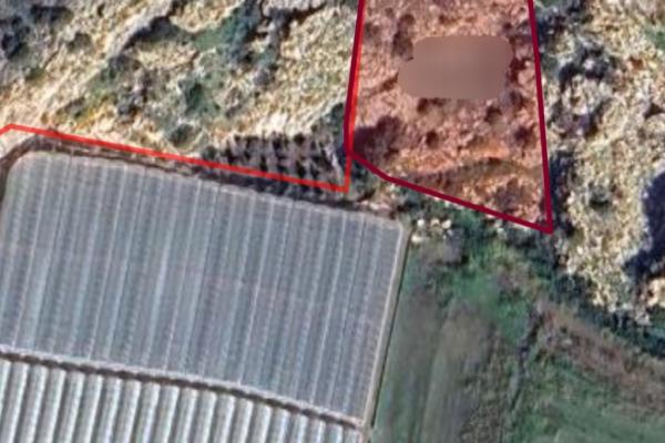 Muğla’nın Seydikemer ilçesi Kumluova Mahallesi’nde yer alan, 3.423,08 m² zeytinlik