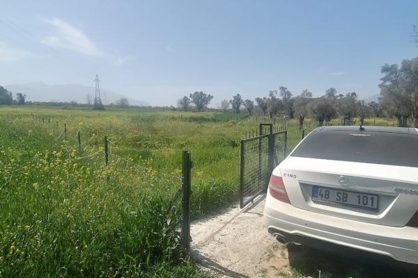 Seydikemer Girmeler 810M ZEYTİNLİK TARLA