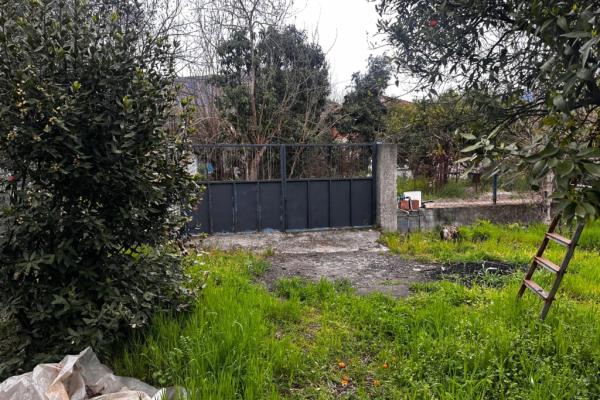 Muğla Köyceğiz Toparlarda Yapı Kayıt Belgeli Ev ve ARAZİ 1.364M