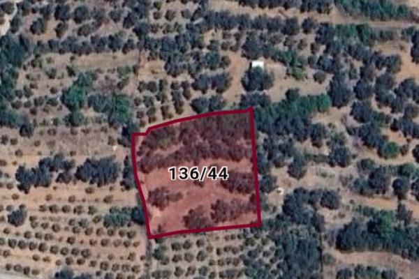Muğla Fethiye İnçirköy’de 2.494 m² Tarla Satılık