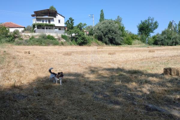 YAKA’DA MÜSTAKİL TAPULU 3.482.23 m2 TARLA