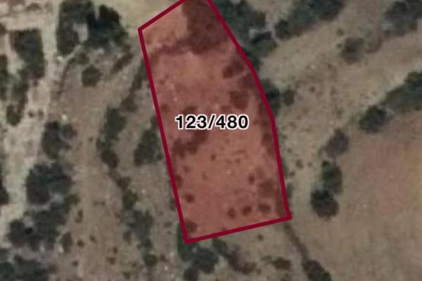 Muğla Seydikemer Y. Patlangıç’ta 829 m² Tarla Satılık!