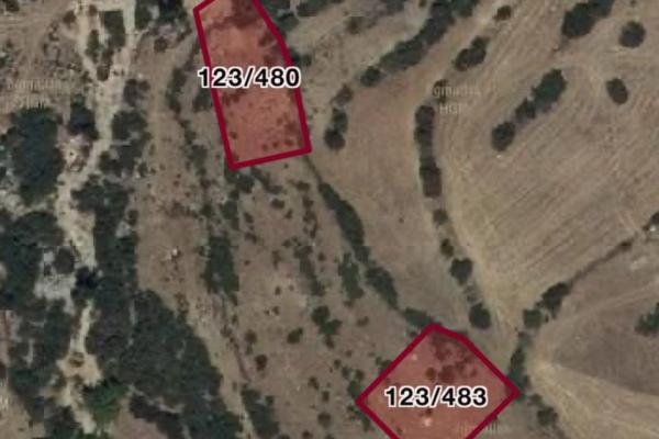 Muğla Seydikemer Y.Patlangıç’ta 784 m² Tarla Satılık!