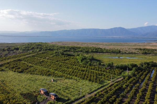 İNN HOUSE GÖL EVLERİ DALYAN FETHİYE LİDER HOMES DEN SATLIK